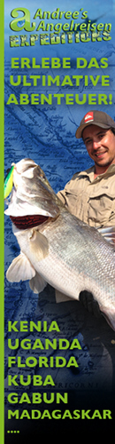 expeditions130x500_1349367967